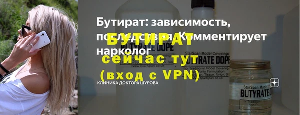 сатива Беломорск