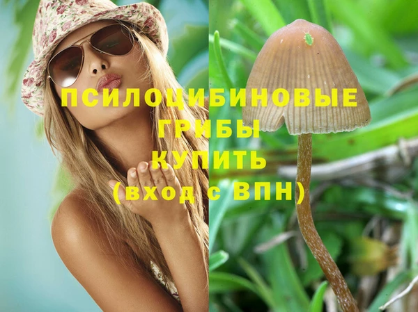 сатива Беломорск