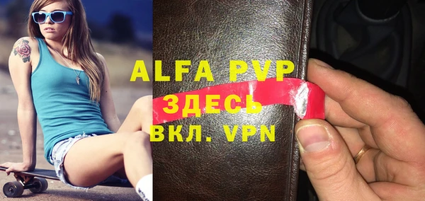 сатива Беломорск