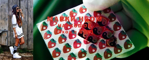сатива Беломорск