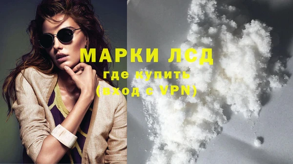 сатива Беломорск