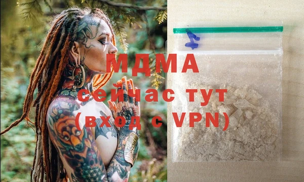 сатива Беломорск