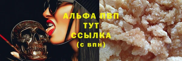 сатива Беломорск