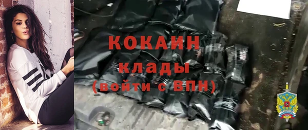 сатива Беломорск