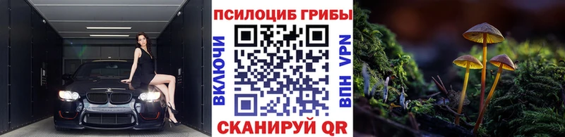Псилоцибиновые грибы мухоморы  Котельниково 